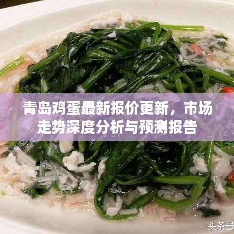 青岛鸡蛋最新报价更新，市场走势深度分析与预测报告