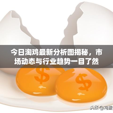 今日淘鸡最新分析图揭秘，市场动态与行业趋势一目了然