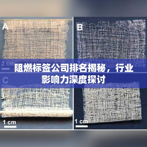 阻燃标签公司排名揭秘，行业影响力深度探讨