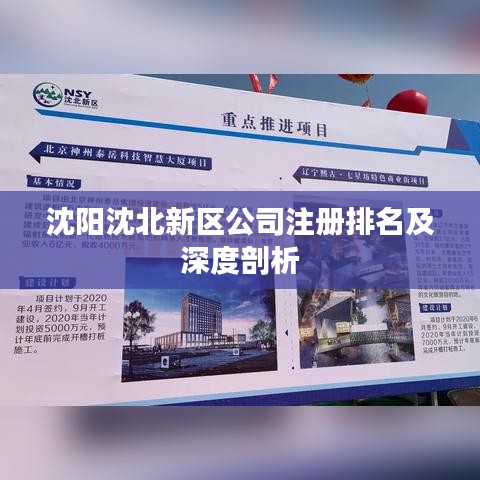 沈阳沈北新区公司注册排名及深度剖析