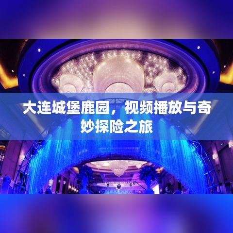 大连城堡鹿园，视频播放与奇妙探险之旅