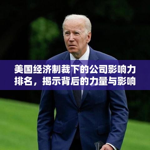 美国经济制裁下的公司影响力排名，揭示背后的力量与影响揭秘