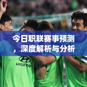 今日职联赛事预测，深度解析与分析