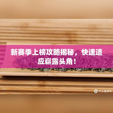 新赛季上榜攻略揭秘，快速适应崭露头角！