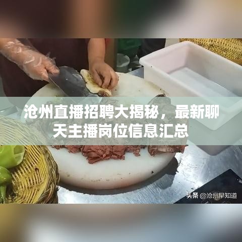 沧州直播招聘大揭秘，最新聊天主播岗位信息汇总
