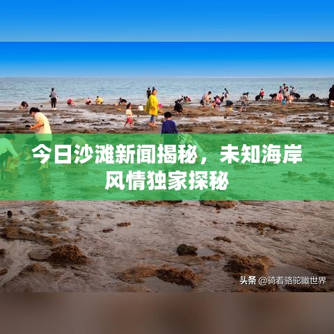 今日沙滩新闻揭秘，未知海岸风情独家探秘