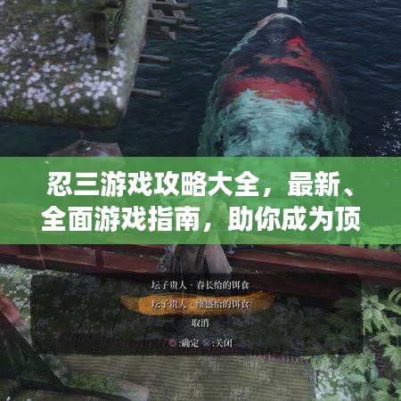 忍三游戏攻略大全，最新、全面游戏指南，助你成为顶尖玩家！