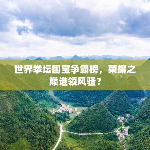 世界拳坛国宝争霸榜，荣耀之巅谁领风骚？