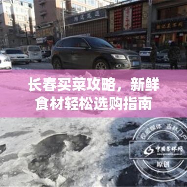 长春买菜攻略，新鲜食材轻松选购指南