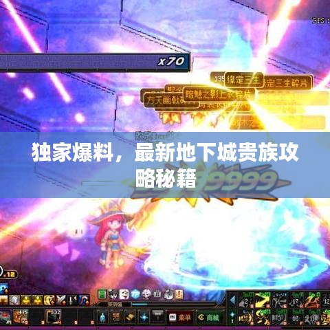 独家爆料，最新地下城贵族攻略秘籍