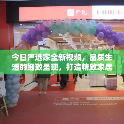 今日严选家全新视频，品质生活的细致呈现，打造精致家居生活