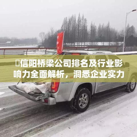 ​信阳桥梁公司排名及行业影响力全面解析，洞悉企业实力与影响力