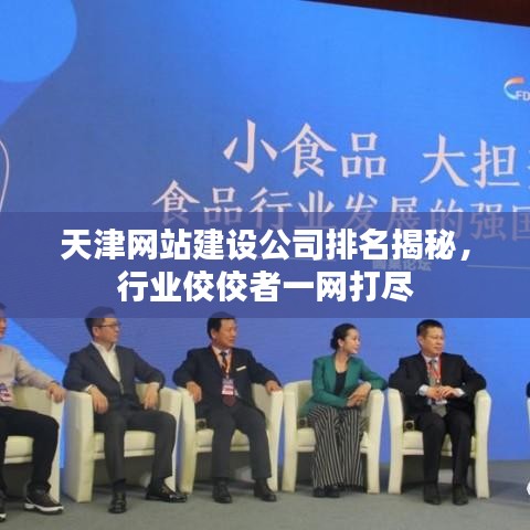 天津网站建设公司排名揭秘，行业佼佼者一网打尽