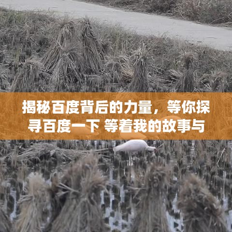 揭秘百度背后的力量，等你探寻百度一下 等着我的故事与奥秘