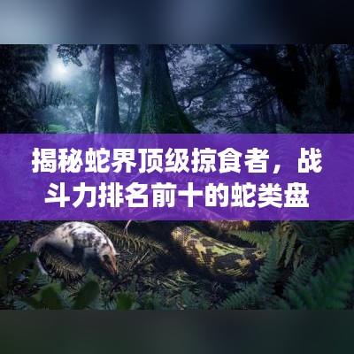 揭秘蛇界顶级掠食者，战斗力排名前十的蛇类盘点