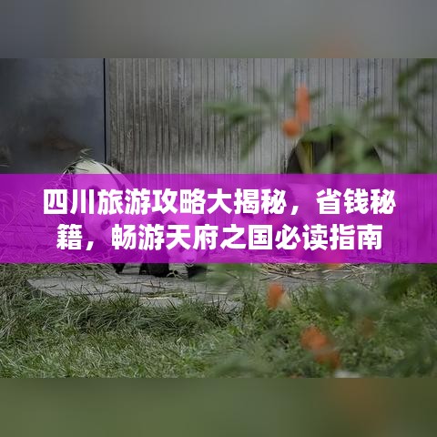 四川旅游攻略大揭秘，省钱秘籍，畅游天府之国必读指南