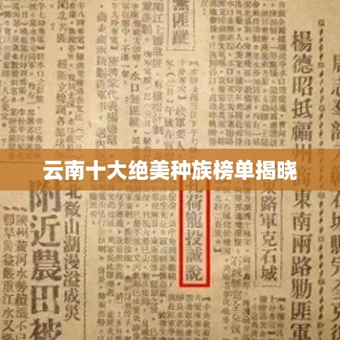 云南十大绝美种族榜单揭晓