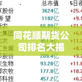 同花顺期货公司排名大揭秘，行业领军者的实力与影响力榜单