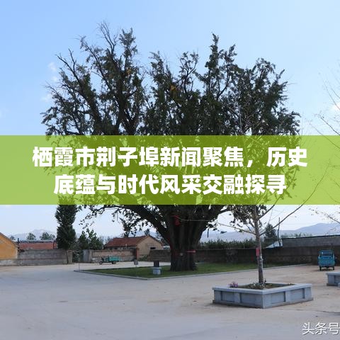 栖霞市荆子埠新闻聚焦，历史底蕴与时代风采交融探寻