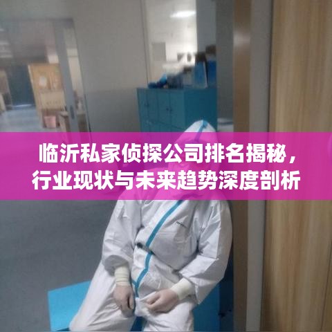 临沂私家侦探公司排名揭秘，行业现状与未来趋势深度剖析