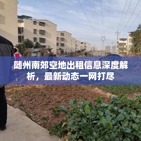 随州南郊空地出租信息深度解析，最新动态一网打尽