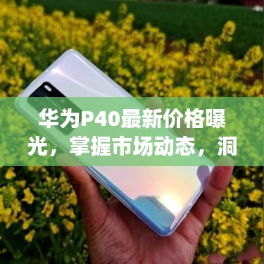 华为P40最新价格曝光，掌握市场动态，洞悉市场变化趋势