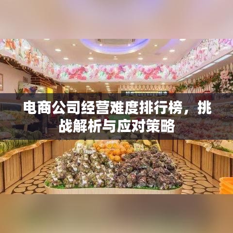 电商公司经营难度排行榜，挑战解析与应对策略