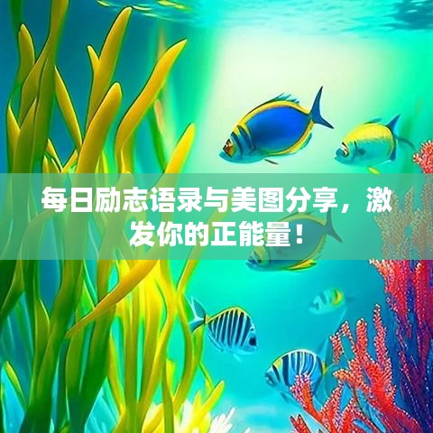 每日励志语录与美图分享，激发你的正能量！