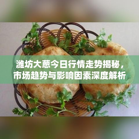 潍坊大葱今日行情走势揭秘，市场趋势与影响因素深度解析