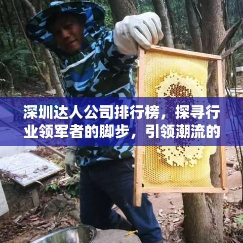 深圳达人公司排行榜，探寻行业领军者的脚步，引领潮流的佼佼者
