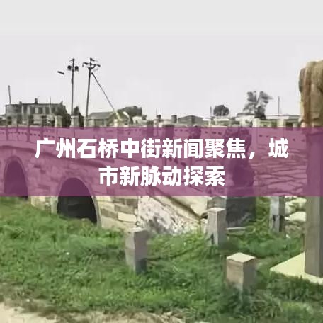 广州石桥中街新闻聚焦，城市新脉动探索