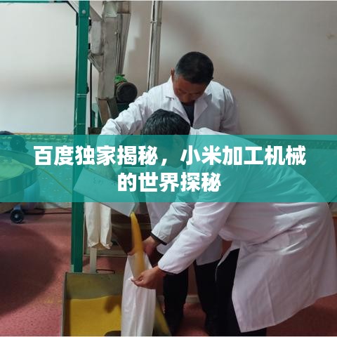 百度独家揭秘，小米加工机械的世界探秘