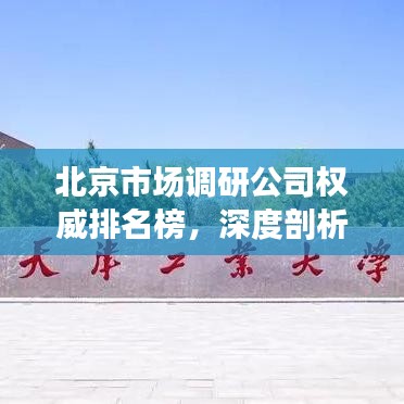 北京市场调研公司权威排名榜，深度剖析行业领军者