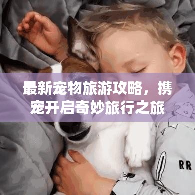 最新宠物旅游攻略，携宠开启奇妙旅行之旅