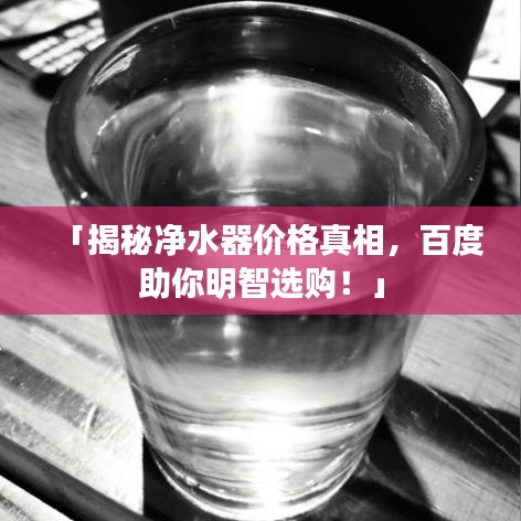 「揭秘净水器价格真相，百度助你明智选购！」