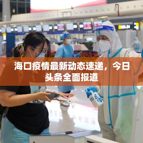 海口疫情最新动态速递，今日头条全面报道
