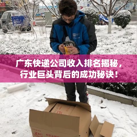 广东快递公司收入排名揭秘，行业巨头背后的成功秘诀！