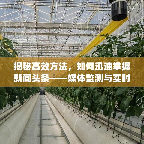 揭秘高效方法，如何迅速掌握新闻头条——媒体监测与实时资讯获取攻略