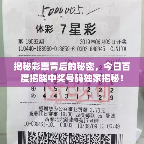 揭秘彩票背后的秘密，今日百度揭晓中奖号码独家揭秘！