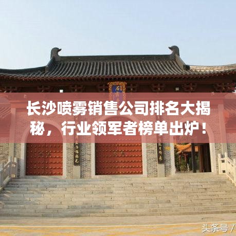 长沙喷雾销售公司排名大揭秘，行业领军者榜单出炉！