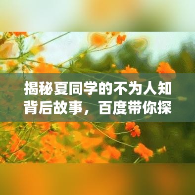 揭秘夏同学的不为人知背后故事，百度带你探秘其人生旅程！