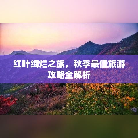 红叶绚烂之旅，秋季最佳旅游攻略全解析