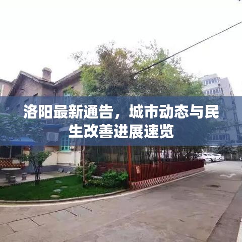 洛阳最新通告，城市动态与民生改善进展速览