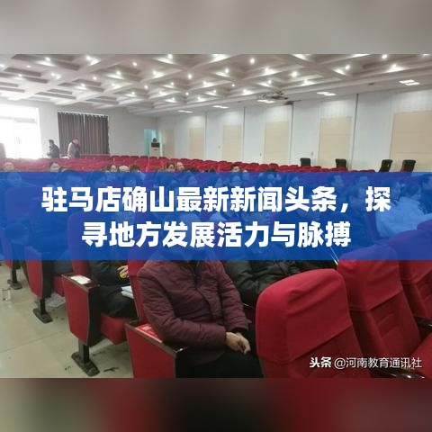 驻马店确山最新新闻头条，探寻地方发展活力与脉搏
