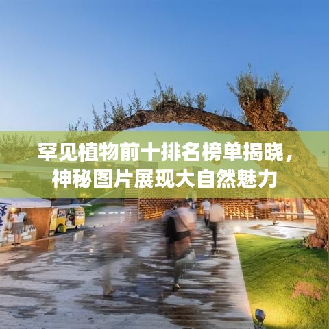 罕见植物前十排名榜单揭晓，神秘图片展现大自然魅力