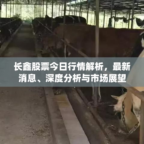 长鑫股票今日行情解析，最新消息、深度分析与市场展望