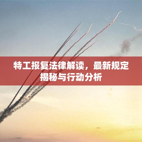 特工报复法律解读，最新规定揭秘与行动分析