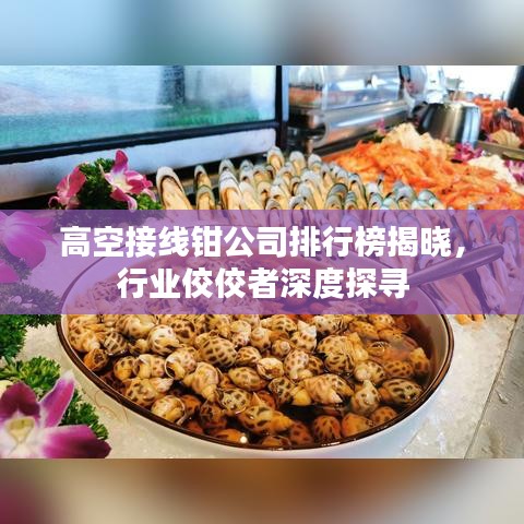 高空接线钳公司排行榜揭晓，行业佼佼者深度探寻