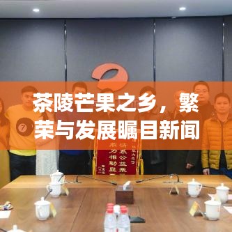 茶陵芒果之乡，繁荣与发展瞩目新闻头条