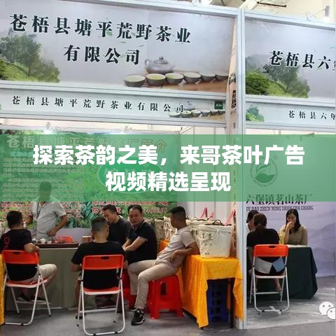 探索茶韵之美，来哥茶叶广告视频精选呈现